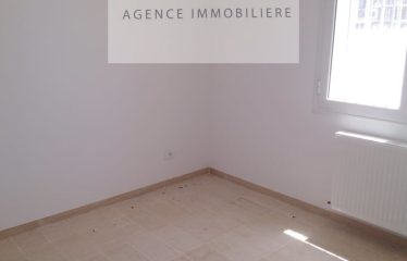 ALOUER UN APPARTEMENT S+1 HAUT STANDING A AIN ZAGHOUEN