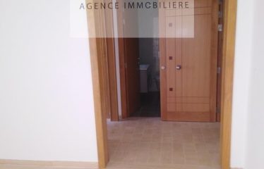 ALOUER UN APPARTEMENT S+1 HAUT STANDING A AIN ZAGHOUEN