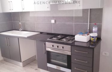 ALOUER UN APPARTEMENT S+1 HAUT STANDING A AIN ZAGHOUEN