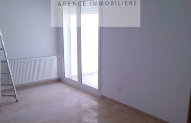 ALOUER UN APPARTEMENT S+1 HAUT STANDING A AIN ZAGHOUEN