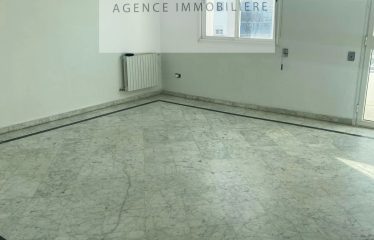 A LOUER UN APPARTEMENT S+3 A LA SOUKRA