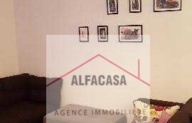 A LOUER UN APPARTEMENT S+1 MEUBLE A LA SOUKRA