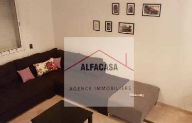 A LOUER UN APPARTEMENT S+1 MEUBLE A LA SOUKRA