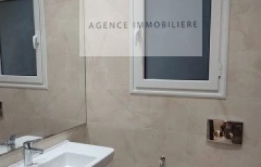 A LOUER UN APPARTEMENT S+1 MEUBLE A LA SOUKRA