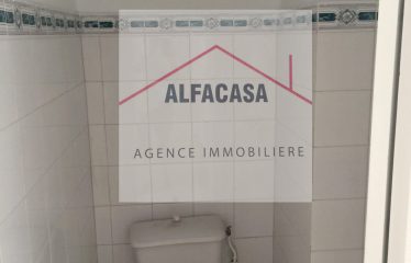 A LOUER UN APPARTEMENT S+2 A L AOUINA