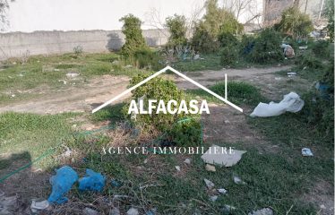 A VENDRE UN LOT DE TERRAIN A LA SOUKRA SIDI FRAJ