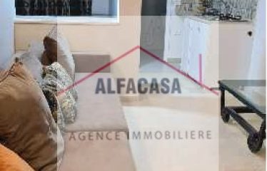 A LOUER UN APPARTEMENT S+1 MEUBLE A LA SOUKRA